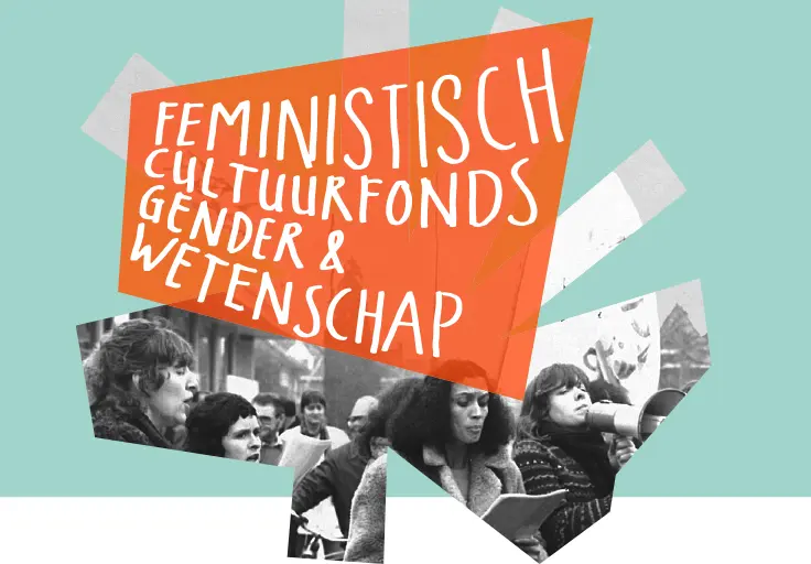 Logo FIP bestaande uit een uitsnede van een foto met tekst in oranje blok: Feministisch Cultuurfonds Gender & Wetenschap